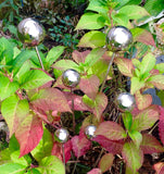 Modern Stainless Steel Garden Lollipops